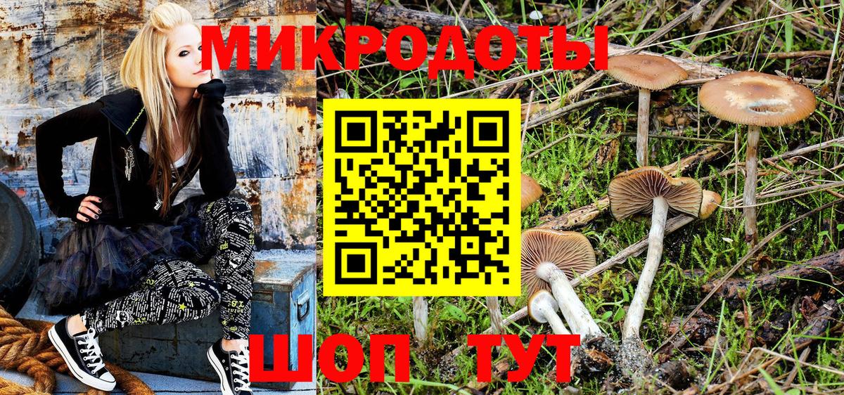 Галлюциногенные грибы MAGIC MUSHROOMS  Псилоцибиновые грибы Psilocybine cubensis  Советский  Вход с VPN 